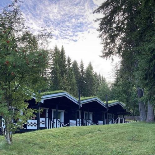 Времена года (д. Рауталахти)