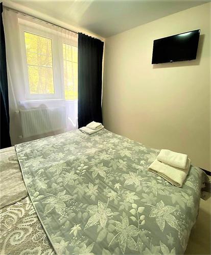 Ирбис (г. Теберда)