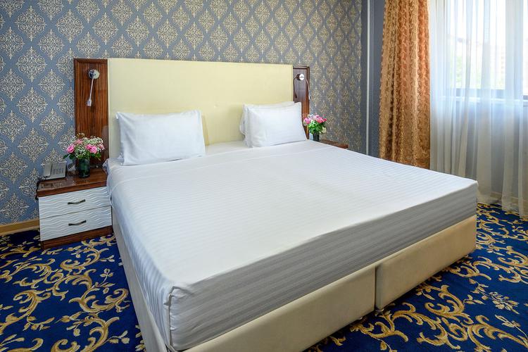 Ani Plaza Hotel 4 *(г.Ереван)