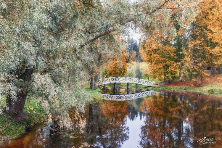 Автобус| Псковская летопись: прогулки по усадьбам и паркам