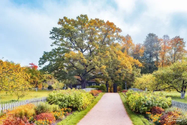 Слободской и Куковякино: тур в атмосфере гастрономии и уют