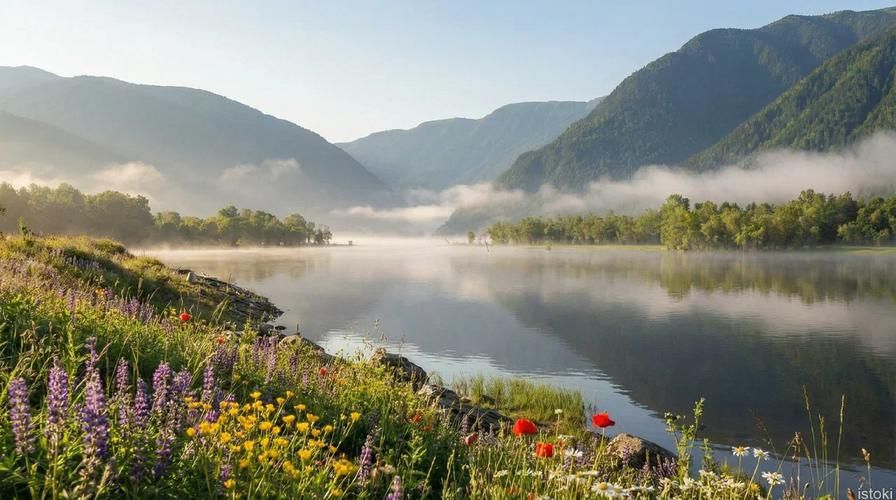 Горные просторы Алтая: лучшее за 7 дней