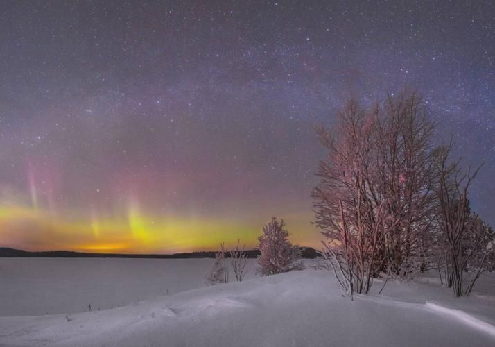 Автобус| Новогоднее путешествие в Рязань и Коломну