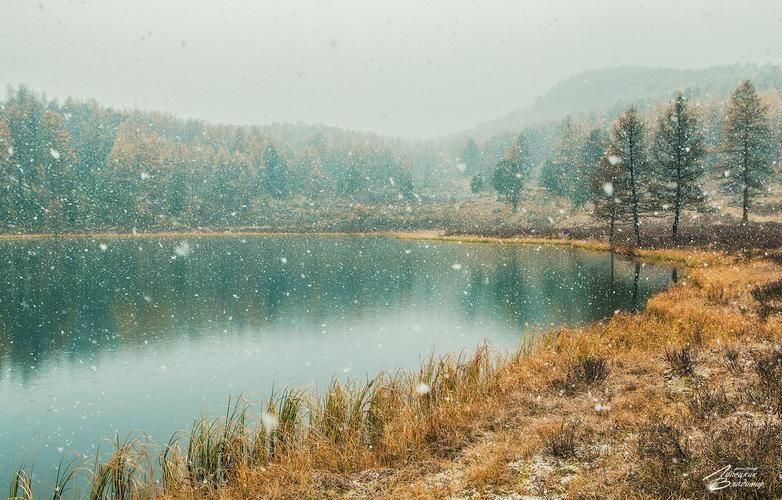 Где восточный шёпот встречает европейский свет