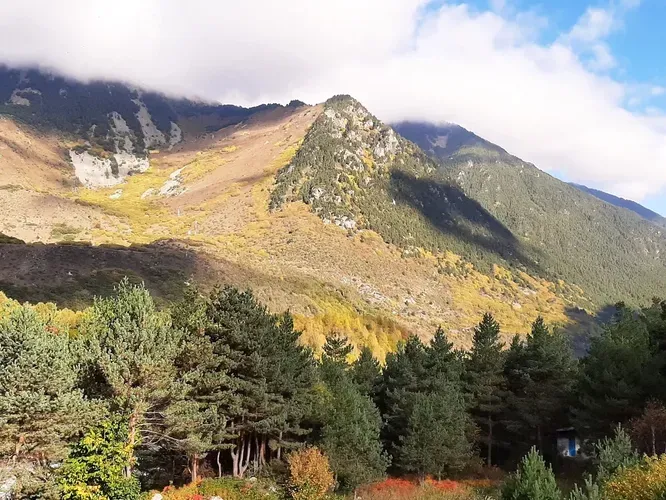 Автобус| В Дагестан!