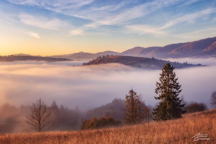 Автобус| В Белокуриху!