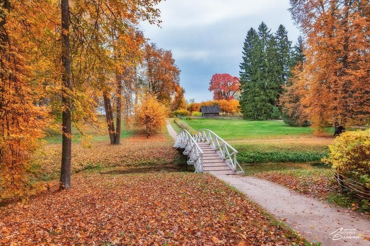 Автобус | Пушкинские горы: путь сквозь все усадьбы