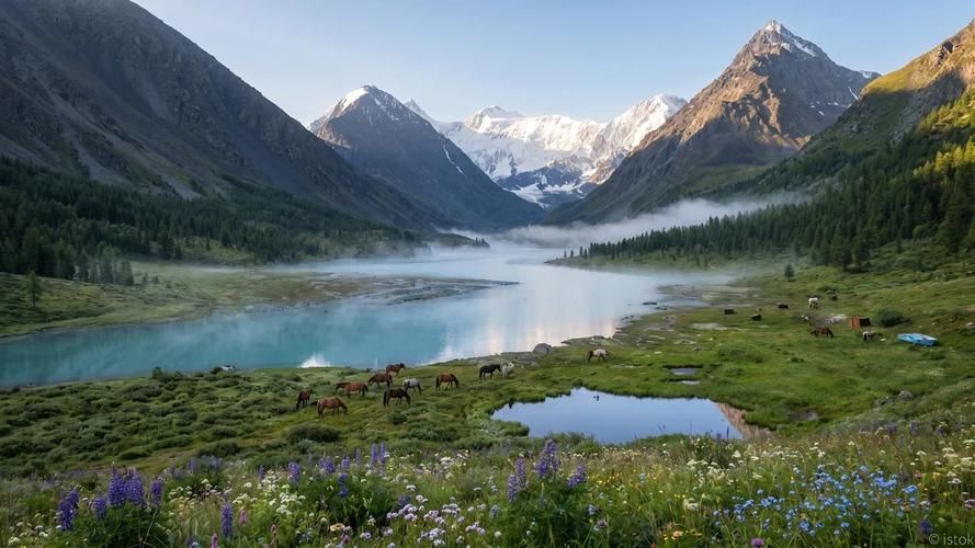 Автобус| Алтайские горизонты: сказка, ставшая реальностью