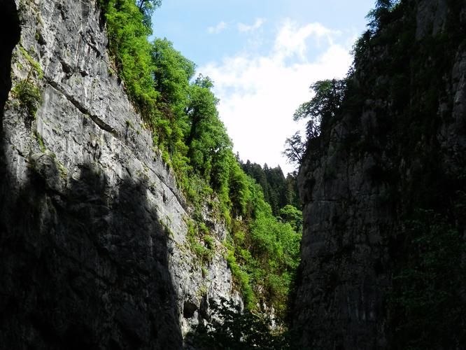 Абхазская симфония 5 дней