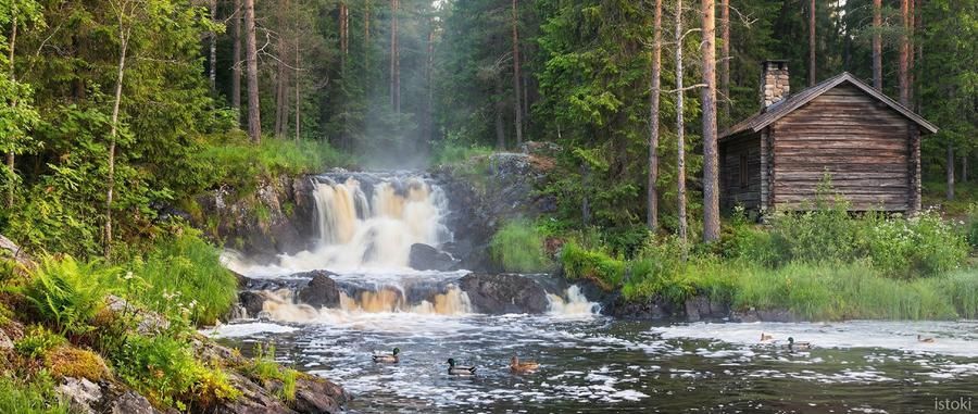 Сокровища Санкт‑Петербурга и его окрестностей 8 дней