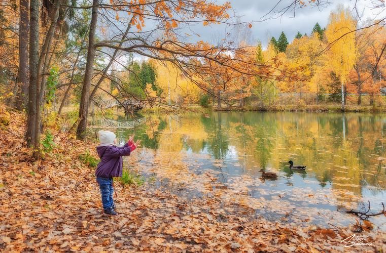 Поезд| Яркие выходные в Миассе