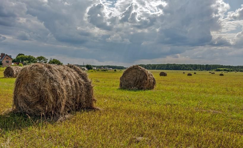 Вкусы Балтики