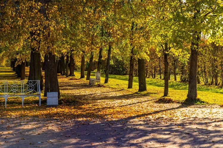 Четыре грани Петербурга
