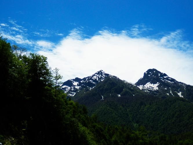 Автобус| Новогодняя Ривьера: Сочи встречает праздник из Пензы