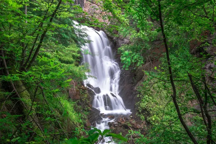 Приятно познакомиться, Армения