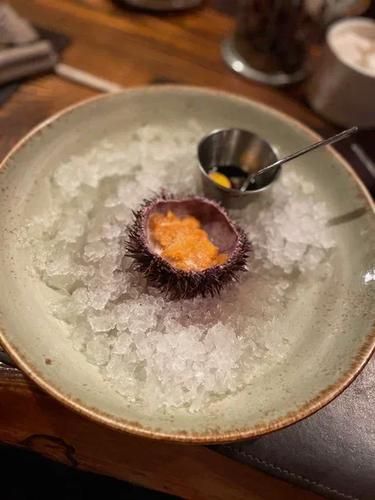 Северные огни: Мурманск, Териберка, Кировск