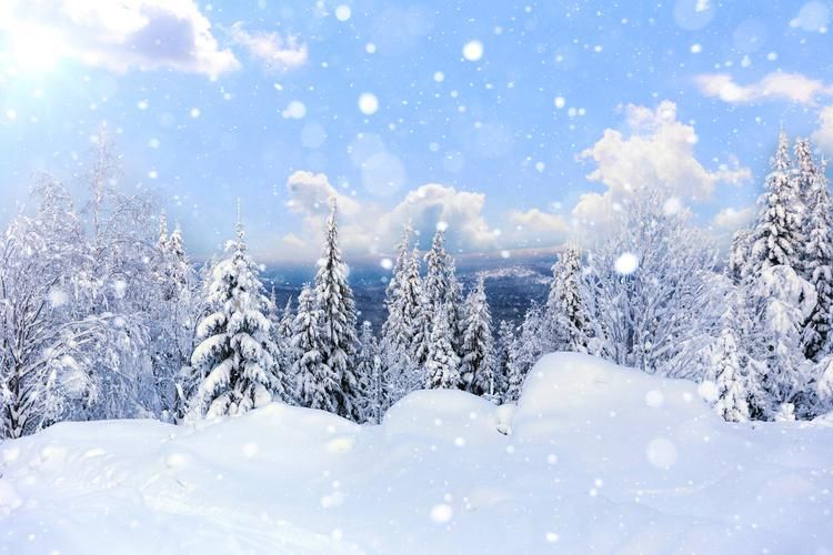 Автобус| Кавказские души: от Осетии до гор Ингушетии из Пензы