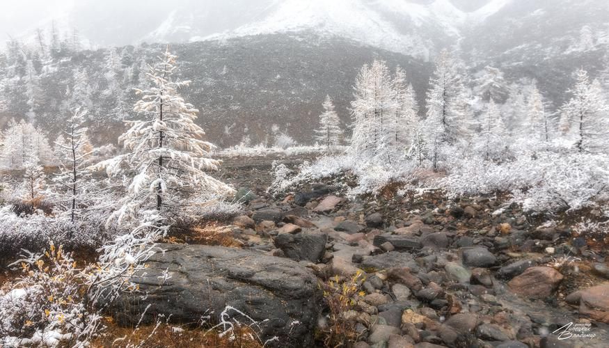 Автобус| Волшебные каникулы в Адыгее