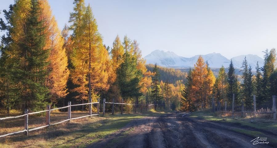 Relax в глемпинге Чемальского района (промо)