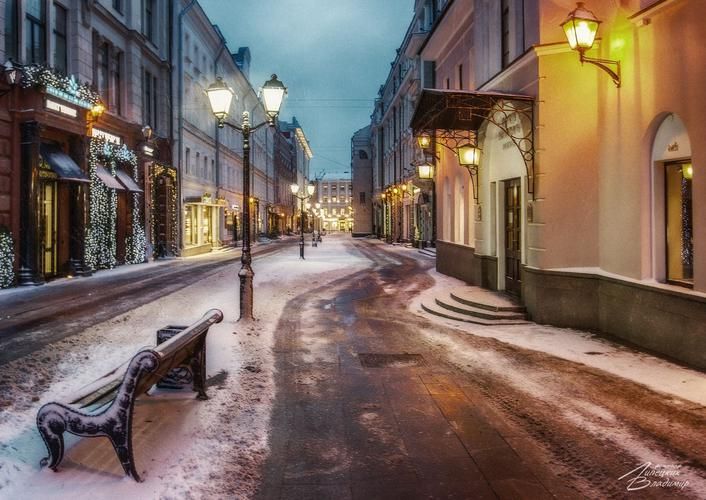 Хаски близко: откройте северный характер без дальних дорог