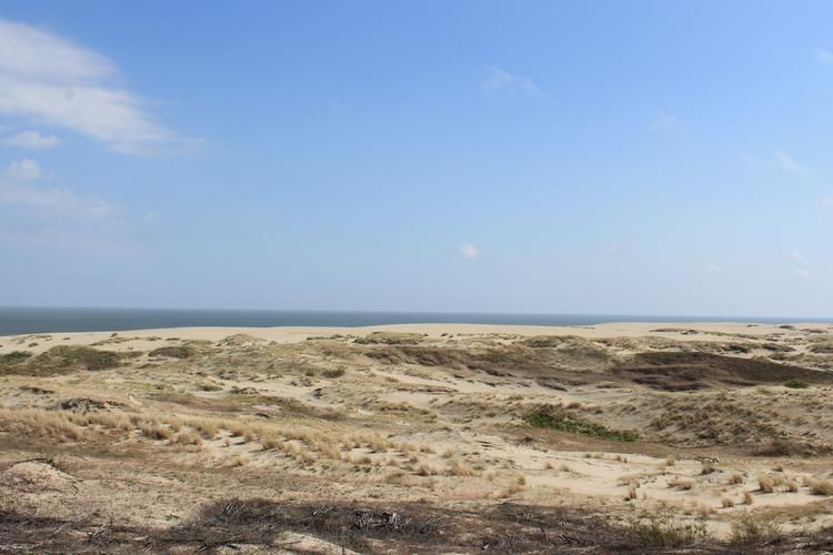 Новогодняя магия Калининграда