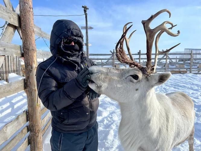Арктический релакс: путешествие на Кольский полуостров