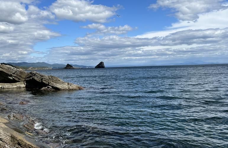 Открытие Владивостока