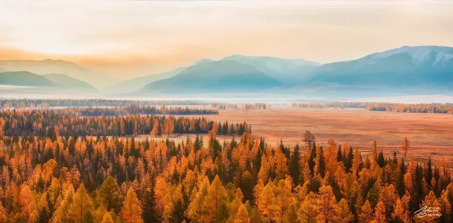 Автобус| Гостеприимный Кавказ