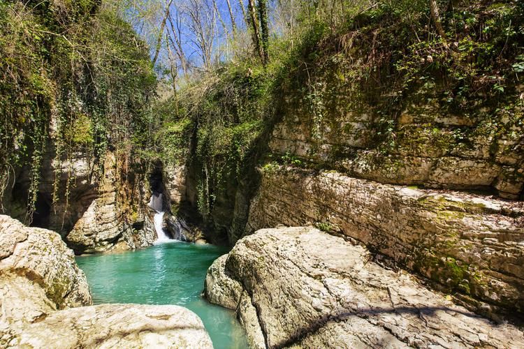 Автобус| Где море поёт, а пузырьки — шепчут сказки