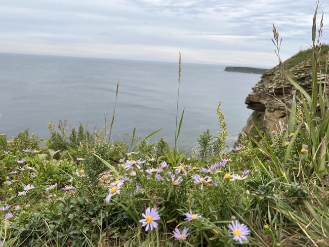 Владивосток: ворота к Тихому океану