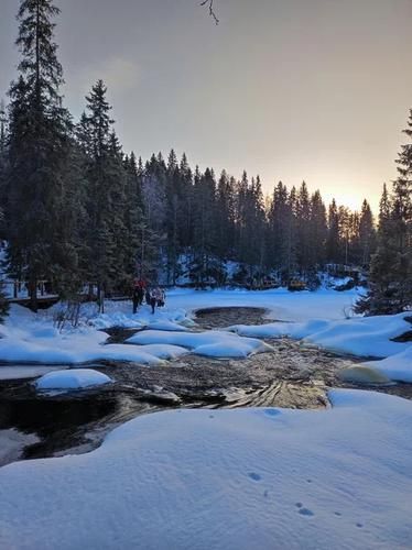 Новогоднее путешествие в Карелию: от Ладоги до викингов