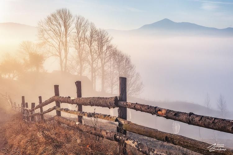 Автобус| Алтай с высоты птичьего полета