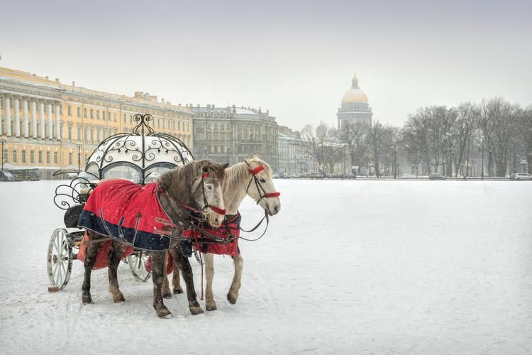 Петербург без переплат