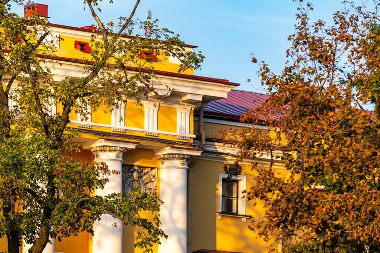 В тени древних лесов Ингерманландии