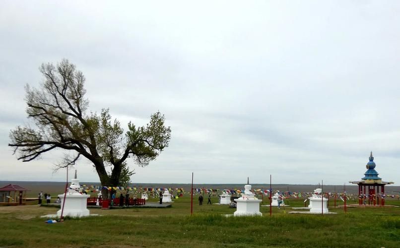 Степь зовёт: тур в волшебную Калмыкию