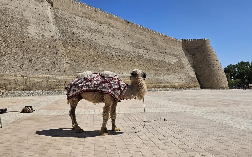 Где древность дышит золотом и шёлком