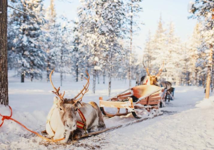 Северный Рождественский бестселлер