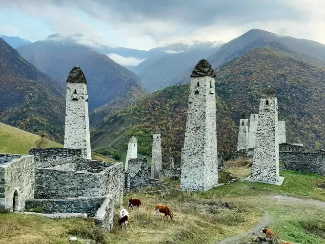 Автобус| В Дагестан 9 дней