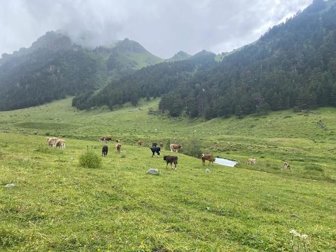 Эльбрус в лучах северного рассвета