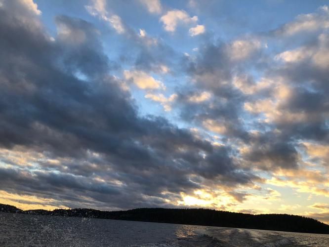 Автобус| Солнечные дни в Боровом